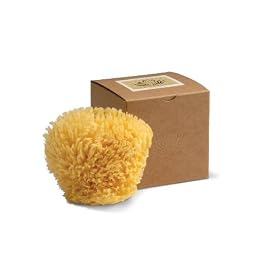 Wool Sponge Gift Box, 4 and1/2 Inches