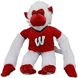 NCAA Wisconsin Badgers 27