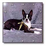 Dogs Boston Terrier - Boston Terrier - Wall Clocks