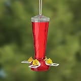 Cherry Valley Feeder 16-Ounce Plastic Swirl Hummingbird Feeder