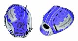 Wilson A440 10-Inch Fast Pitch Glove (Grey and Purple)
