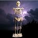 Human Skeleton Woodcraft Construction Kit
