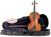 Palatino Allegro Violin Outfit, VN-450 1/2