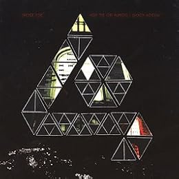 Arcade Fire Picture 2
