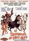 El Semental de Palo Alto