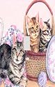 Cats in the Basket Decorative Switchplate Cover