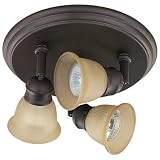 Canarm ICW284A03ORB10 3 Light Port Directional Spot Light, Oil