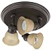 Canarm ICW284A03ORB10 3 Light Port Directional Spot Light, Oil
