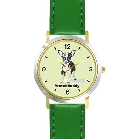 Chihuahua (SC) Dog - WATCHBUDDY® DESIGNER DELUXE TWO-TONE THEME WATCH - Arabic Numbers-EMERALD ISLE... by WatchBuddy