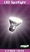 Evenlight - LED Spot Lampe GU-10 3,3Watt mit 2 Zapfen