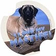 Mastiff Carsters, Coasters for Your Car