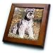 Schnauzer - 8x8 Framed Tile