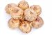 Wallmonkeys Peel and Stick Wall Decals - Gladiolus Bulbs - Removable Graphic