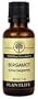 Bergamot 100% Pure Essential Oil - 30 ml