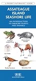 Assateague/Chincoteague Seashore Life: An Introduction to Familiar Plants & Animals (Pocket Naturalist - Waterford Press)