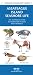 Book Assateague/Chincoteague Seashore Life: An Introduction to Familiar Plants & Animals (Pocket Naturalist - Waterford Press)