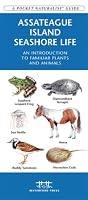 Assateague/Chincoteague Seashore Life: An Introduction to Familiar Plants & Animals (Pocket Naturalist - Waterford Press)