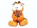 Search : Garfield - Plush - Garfield and Pooky 15 Inch Plush