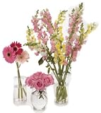 Clear Vase with Metal Floral Arranging Crown and Red and Green Crystal Bead Tassels Gift Set