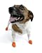 Pet Supplies : Pawz Rubber Dog Boots - Set of 12 Extra Small (ORANGE)