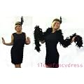 FLAPPER FANCY DRESS COSTUME LADIES BLACK FRINGED SIZE LARGE 12-14 WITH FEATHER HEADPIECE 1920'S