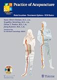 Practice of Acupuncture: Point Location, Techniques, Treatment Options