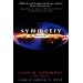 Symmetry and the Beautiful Universe
