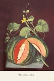 Art Poster, Watermelon - 20x30