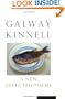 A New Selected Poems