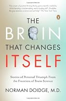 The Brain That Changes Itself