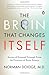 The Brain That Changes Itself: Stories of Personal Triumph from the Frontiers of Brain Science (James H. Silberman Books)