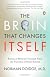 The Brain That Changes Itself