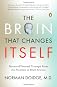 The Brain That Changes Itself