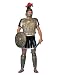 Roman Soldier Gold Adult Costume Armor Set- Helmet, Chest Piece, Shin Guards, Shield & Vinyl Skirt
