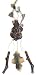 10" Kenai Brown Bear Grasping A Branch Wind Chime Christmas Ornament