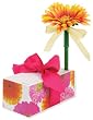 Lady Jayne Ltd. List Block, Gerbera Daisy In Bright Colors With Daisy Topped Pen (Pack of 2)