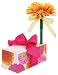 Gerbera Daisy Lady Jayne Ltd. List Block In Bright Colors With Daisy Topped Pen (Pack of 2)