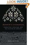 Darwin's Cathedral: Evolution, Religion, and the Nature of Society
