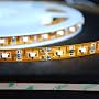 Flex Strip 300 SMD White LED Ribbon 5 Meter or 16 Ft 2026WH