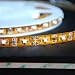 Flex Strip 300 SMD White LED Ribbon 5 Meter or 16 Ft 2026WH