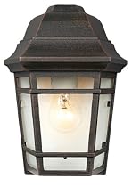 Rust Finish 9" High Outdoor Wall Light