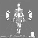 Sense Apparatus