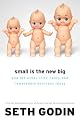 Small Is the New Big: and 183 Other Riffs, Rants, and Remarkable Business Ideas