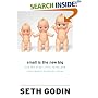 Small Is the New Big: and 183 Other Riffs, Rants, and Remarkable Business Ideas