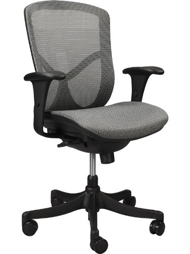 Eurotech Fuzion Basic Mid-Back Grey Mesh Task Chair with Black Base