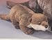 Stuffed River Otter
