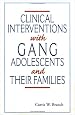 Clinical Interventions With Gang Adolescents And Their Families