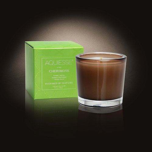 Aquiesse Cherimoya Soy Votive Candle