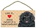 Newfoundland (Love is being owned by) Door Sign 5''x10''