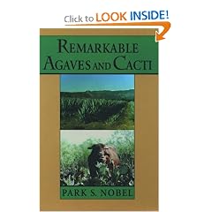 Remarkable Agaves and Cacti